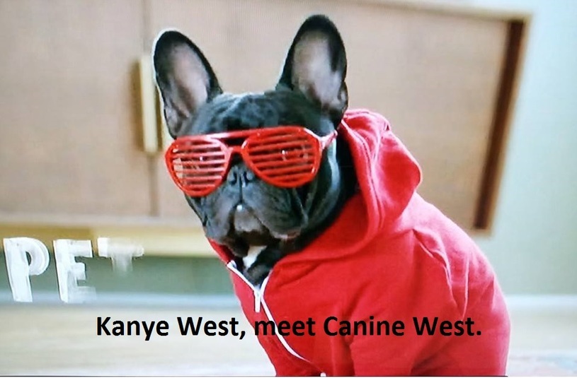 Kay-9 West